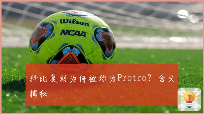 科比复刻为何被称为Protro？含义揭秘
